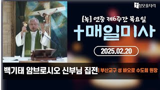 미사빵주문055.367.2232|(문자)010.9271.2232|계좌(농협)351.0425.2610.23(이레우리밀) ●[2/20] 연중 제6주간 목요일-백기태 암브로시오 집전