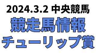 【チューリップ賞】中央競馬情報 2024年3月2日【ウマ娘産駒】