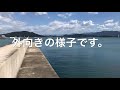 季節は秋へ　気になる釣果は！？28日【田ノ浦】リアルタイム fishingmax和歌山インター店