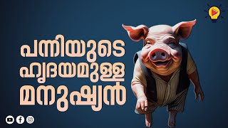 പന്നി ഹൃദയം മനുഷ്യനിൽ | Pig | Human Body | Geekey Malayalam