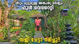 50 സെന്റിൽ സജി ചേട്ടൻ്റെ സ്വർഗം, ഇവിടെ വന്നവർ തിരിച്ചു പോകില്ല | Amazing Zero budget garden