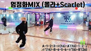 엄정화mix(몰라+Scarlet스칼렛)/쉬운다이어트댄스/YK댄스/에어로빅댄스/출처ag댄스참조/