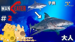 steam版（PC）【　Maneater　（マンイーター）　　】＃2　　レベル上げすぎてイカツクなっちゃった…。頑張って成長するぞ～！　（ネタバレ注意！）オミゴのホビータイム！