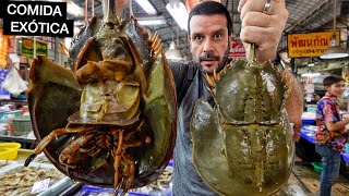 Comendo nos MERCADOS mais EXÓTICOS da Tailândia 🇹🇭