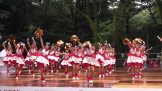 サニーグループよさこい踊り子隊SUNNYS＠2015　スーパーよさこい