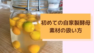 初めての自家製酵母作り〜素材の扱い方【自家製酵母パン教室ぱん蔵/東京/山梨】