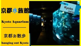 【京都】#17「京都水族館」ここの●●しい出来事教えます。Visiting Kyoto Aquarium～ Why are you pouring water at me?