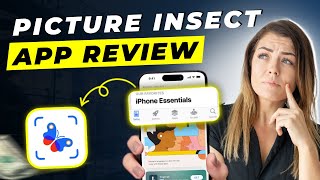 Picture Insect App Review 2025 | Can This App Really Identify Bugs Instantly?