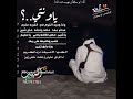 قصيده_ياشين حض الكفو ياخي ياسليم😴👌 _ابوسلطان _قصائد_يمنيه 2024  حالات_وتساب2024