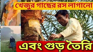 খেজুর গাছের রস সংগ্রহ এবং গুড় তৈরি //How to make date jaggery #date _Palm _Juice #খেজুর _রস