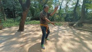 Ngo Cho Kun - Lion Rolling his Body on the Ground Method (Saya Huan Shin)