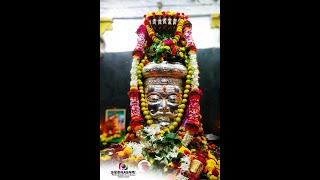 Sri Ramlingeshwar Jatra Mahotsav \u0026 Nutan Rathotsava || Siddhashri Photography Basavakalyan