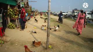 TAJPUR TRIP EP:4