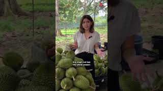Here’s why you should get your durian fix soon.
