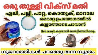 ഗുജറാത്തികൾ എലി, പല്ലി, പാറ്റ, മാറാല എന്നിവയെ ഒഴിവാക്കാൻ ചെയ്യുന്ന സൂത്രങ്ങൾ.easy way to get rid rat