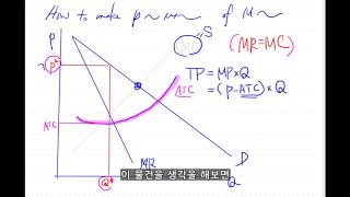 경제학강의 독점시장이론 5부 - 이윤극대화 그래프