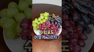 수입포도 고르는 방법🍇