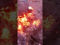 kolibri destroys behemoth bf1 bf1shorts kolibri