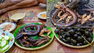 Loài rắn 4 chân món nhậu  Đặc sản miền tây  | Gấc Quê