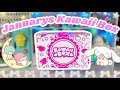 JANUARY KAWAII BOX! *♡* CUTE ITEMS FROM JAPAN!!