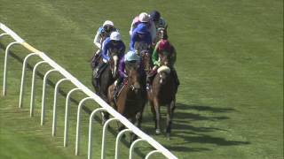 2015 QIPCO Falmouth Stakes - Amazing Maria - Racing TV