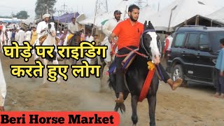 Beri Horse Market 2019 -शाम के वक्त में बेरी मेले का नजारा कुछ इस तरीके का रहता है