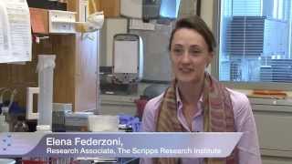 Elena A. Federzoni: Description of research interest at The Scripps Research Institute (TSRI)