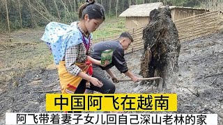 中国小伙放着越南岳父家的大房子不住，带老婆孩子回深山老林生活