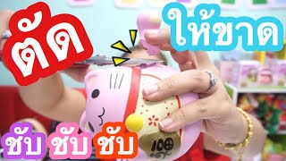 10 อันดับ สกุชชี่ ที่มีตำหนิมากที่สุด มีอะไรบ้าง มาดู !!? | By ปาปาภา