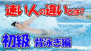 背泳ぎで速く泳ぐ方法は簡単！姿勢と腕の回しを特に意識してみましょう