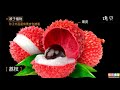 種子植物和被子植物 【中學生物】