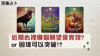 蘇晴塔羅🔮 近期心裡哪個願望會實現 or 困境可以突破?｜無時間限制 ⚡