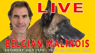 BELGIAN MALINOIS Q&A LIVE