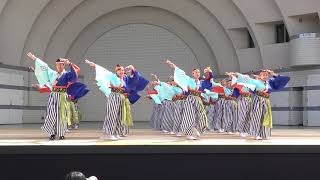 ピースポートよさこい ほにや丸／代々木公園ステージ／明治神宮奉納 原宿表参道元氣祭スーパーよさこい2019