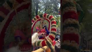 Bramharatotsava of sri Gangamma devi⚜️🔱⚜️|#gangammajathara |#procession|#bramharatotsava