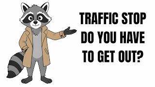 Traffic Stop Explained with Rax