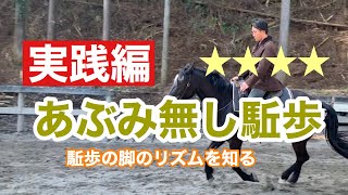 107.駈歩の脚の使い方やリズム 鐙上げ駈歩実践【実践編】