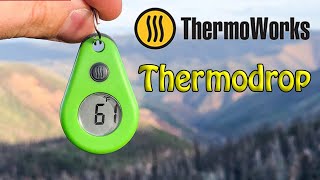 Thermoworks Thermodrop Thermometer