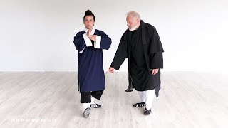 Taichi Wudang - Taiyi Wu Xing Quan