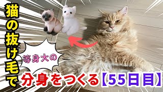 猫の抜け毛で等身大の分身をつくる【55日目】