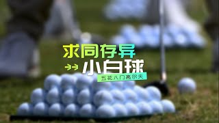 EP101 | 今天的乒乓球 明天的高尔夫