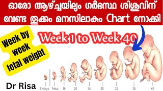 Baby Weight During Pregnancy| Fetal Weight Week by Week