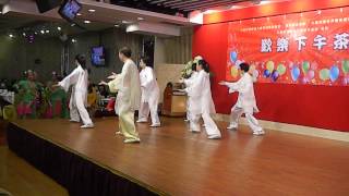 游振芳太極學會沙式太極拳 2013年12月11日