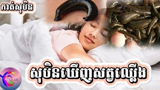 សុបិនឃើញសត្វឈ្លើង_@សុបិន-Dream