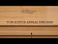 The LJS Yom Kippur Appeal 5781/2020