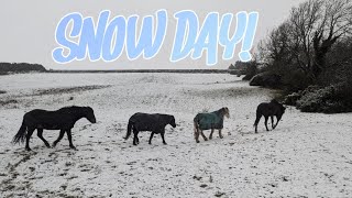 Day in the life! ~ It's a Pony Snow Day!