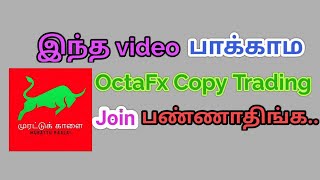 Octafx Copy Trading | Best Clarification of Octafx copy trading in tamil | Foex Copy Trading