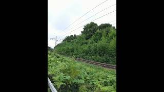 曇り空の元郡山富田駅付近のカーブを走る磐越西線普通列車2225M＿2023年8月撮影