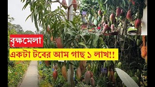 ১৫টা আমসহ একটা টবের আম গাছ এক লাখ টাকা! চিয়াংমাই আম। বৃক্ষমেলার সবচেয়ে দামি আম গাছ। chiangmai mango|