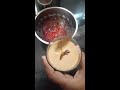 homemade jigarthanda ஜிகர்தண்டா jigarthanda recipe in tamil joshis_kitchen